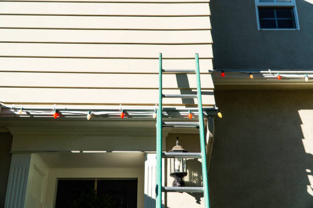 Best Vinyl Siding Installation  in Sammamish, WA